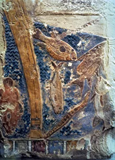 Aquatic Plant Depiction Impressions: 2684635
