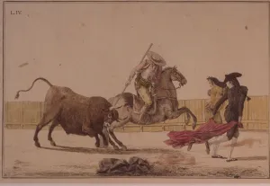 Traditional Bullfighting Impressions: 2684829