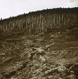 Early 20th Century Conflict Impressions: Alsace, c1914-c1918