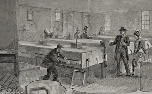 Black And White Bird Images Impressions: Artificial hatching of hen eggs by the Baker method