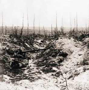 The Great War Pictures Impressions: Battlefield, c1914-c1918