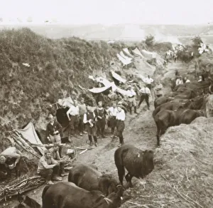 World War I Cavalry Impressions: Cavalry, c1914-c1918