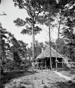 Black And White Building Exterior Impressions: Chaco Chulee, a summer cottage