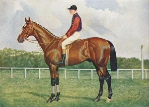 British Thoroughbred Horses Impressions: Diamond Jubilee, c1905 (c1910). Artist: Henry Powell Palfrey