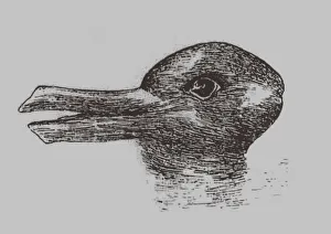 Lillusion du canard-Renard. De : Jastrow, J. Lœil de lesprit. Popular Science Monthly, 1899. Artiste : Jastrow, Joseph (1863-1944).