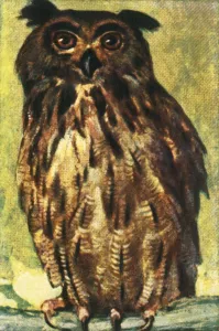 Cigarette Card Album Impressions: Eagle owl, c1928. Creator: Unknown