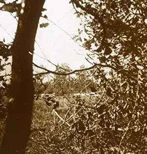 First World War Germany Impressions: German trenches, c1914-c1918