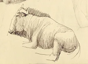 Shirley Markham Artwork Impressions: Gnu, c1951. Creator: Shirley Markham