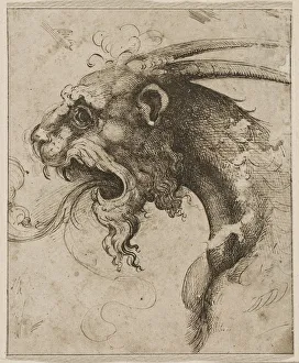 Renaissance Mythology Impressions: Head of a Chimera