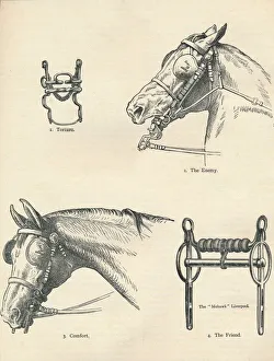Horse Riding Equipment Impressions: Horse bits, good and bad, c1909 (c1910)