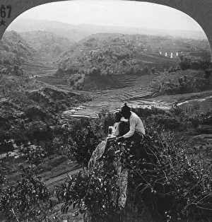 Indonesian Countryside Impressions: Java, Indonesia, c1900s