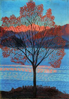Oil On Wood Landscapes Impressions: Landscape at the First Rays of Sun