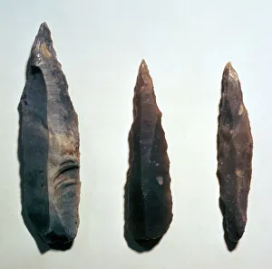 Stone Age Tools Impressions: Mesolithic Microliths