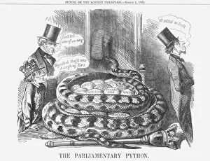 London Zoo Animals Impressions: The Parliamentary Python, 1862