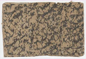 Historical Woodcuts Impressions: Sheet with overall splotchy pattern, 19th century. Creator: Anon