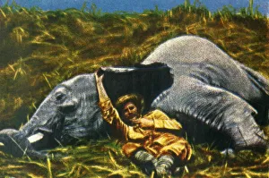 Georg A Jasmatzi Prints Impressions: Trophy-hunter with dead elephant, c1928. Creator: Unknown