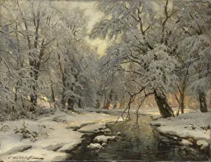Hoarfrost On Trees Impressions: Winter in the Forest, c1930