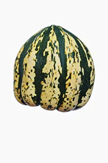 Cucurbita Pepo Impressions: Squash, Winter squash Sweet Dumpling, Cucurbita pepo Sweet Dumpling