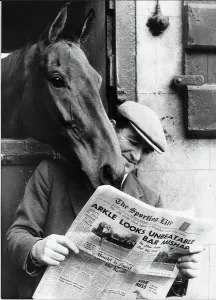Archives Des Miroirs Impressions: Le cheval de course célèbre Arkle regardant l'épaule du garçon d'étalons Paddy Murray en train de lire