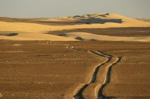 Desert Landscape Namibia Africa Impressions: Desert