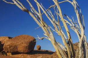 Namibie Impressions: Namibia