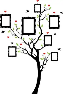 Arbre généalogique avec cadres, vecteur.