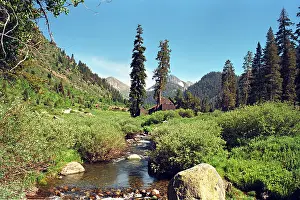 Mineral King, parc national de Sequoia, Californie.