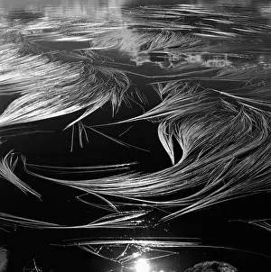 Les motifs sur la glace.