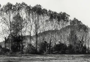 Impression encadrée : Le Bosco a Barbata