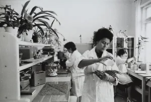Female Lab Technician Impressions: Laboratory experiments