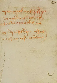 High Renaissance Artwork Impressions: Reflections and notes, writings from the Codex Forster III