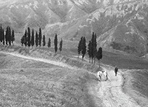 Country Road Landscape Photography Impressions: Returning from the fields