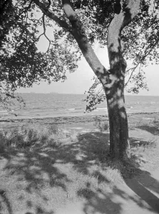 German Baltic Coast Impressions: Danzig