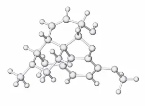 2012 Impressions: Le codeine, modèle moléculaire.