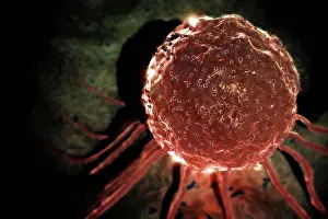 Biomedical Science Images Impressions: Microscopic styled view of a stem cell