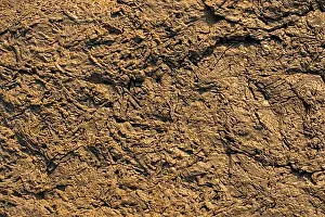 Empty Rock Formations Impressions: Natural rock or Stone surface as background texture