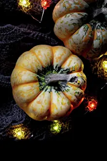 Dark Background Still Life Photography Impressions: Pumpkin