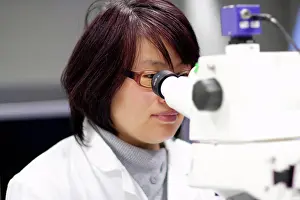 Laboratory Equipment Use Impressions: Scientist using microscope in lab