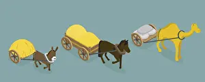 Flat Vector Illustration Impressions: 3D Isometric Flat Vector Set of Draft Animals