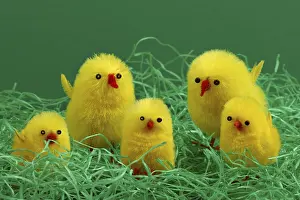 Easter Chicks Impressions: 5 Easter chicks on Easter grass
