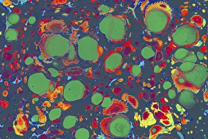 Abstract Marble Texture Impressions: Abstract creative marble pattern texture
