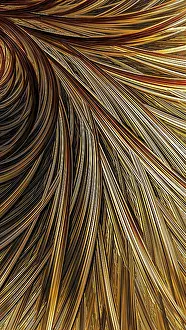 Fractal Geometry Images Impressions: Abstract feather background - computer-generated image