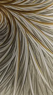 Abstract Feather Background Impressions: Abstract feather background - computer-generated image