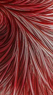 Fractal Geometry Images Impressions: Abstract feather background - computer-generated image