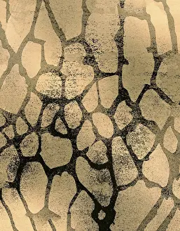 Cracked Earth Texture Impressions: Abstract pattern featuring organic