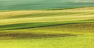 Abstract Summer Landscape Impressions: Abstract pattern of rolling striped fields in summer