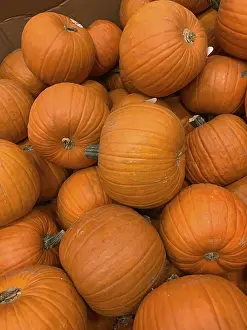 Thanksgiving Day Celebration Impressions: Abstract several pumpkin patch background