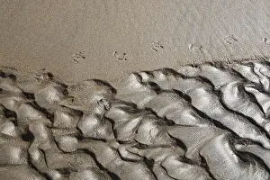 Abstract Nature Photography Impressions: Abstract sand pattern background