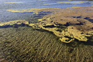 Spanish Coastal Scene Impressions: Algae in the crystallisation pool