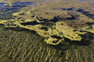 Salt Production In Spain Impressions: Algae in the crystallisation pool